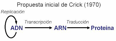 Transmisión de la información genética del ARN