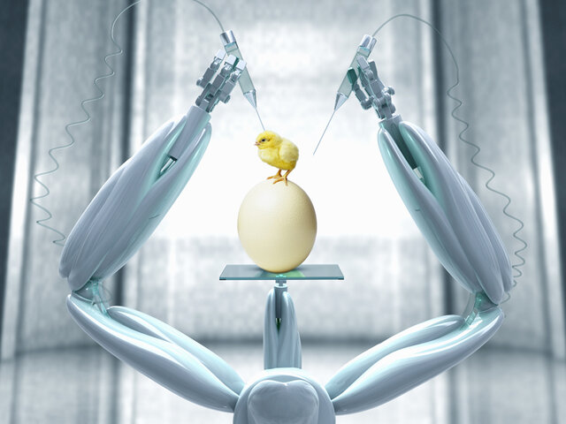 Creación de vida artificial