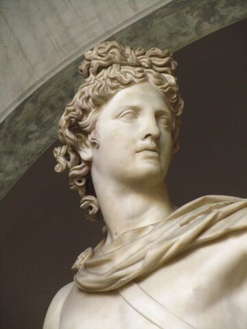 Apollo del Belvedere
