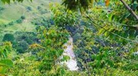 Timeline: Historia de la Familia