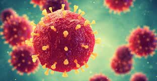 Texto "los microbios patógenos"