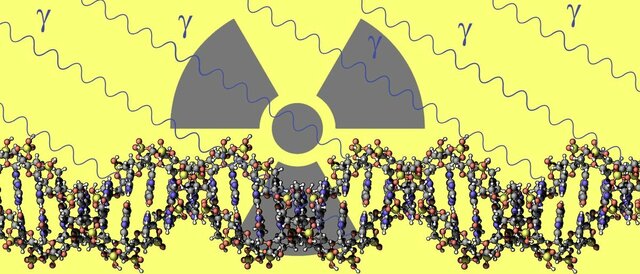 Efectos biológicos en el año 2000