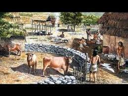 Domesticación de plantas y animales