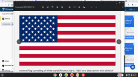 Timeline: US Flag