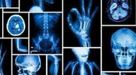 Timeline: PRESABERES Y FUNDAMENTOS