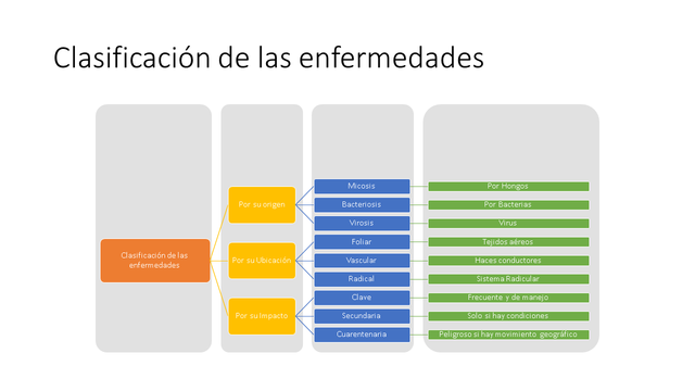 TAXONOMÍA DE LAS ENFERMEDADES