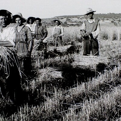 Timeline: Línea del tiempo sobre el campo mexicano