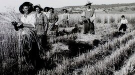 Timeline: Línea del tiempo sobre el campo mexicano