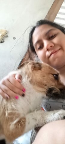 Friday August 27th, In the afternoon