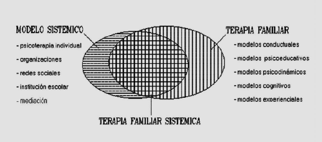 Enfoques en Terapia Familiar Sistemica