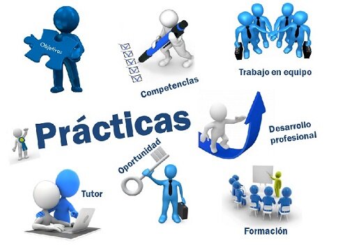 PROCESOS Y PRÁCTICAS CURRICULARES