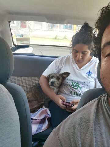 Friday August 27th, In the afternoon