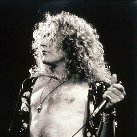 70s Most Popular Hairstyle