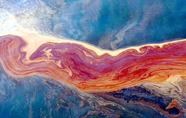 Gulf of Mexico Oil Spill