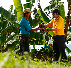 Inicio de la extensión agrícola.