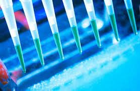 21st Century- Top 10