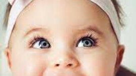 Timeline: BIO EDUCACION