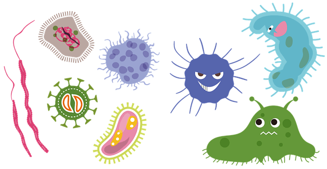 La Teoría Microbiana sin Pasteur y Koch