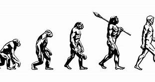 Evolucionismos según Darwin