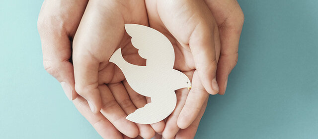 Convención sobre los derechos del niño (ONU)