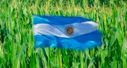 Argentina: Productores en Siembra directa.