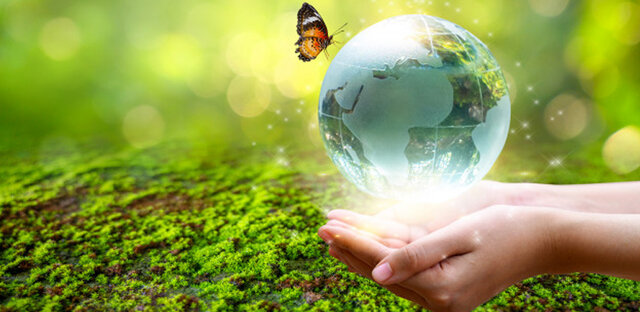 4° CONGRESO IBEROAMERICANO DE EDUCACION AMBIENTAL (2003)