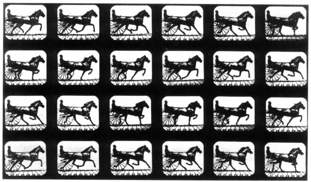 Muybridge: The Horse in Motion