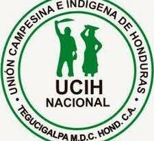 Acción Colectiva en Honduras