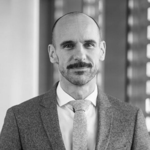 Frédéric Cavazza (2013)