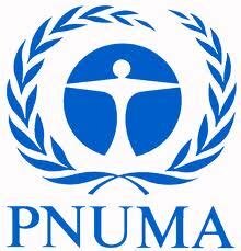 PNUMA