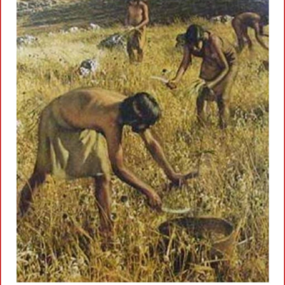 Timeline: Paralelismo entre la Medicina y la Fitopatología