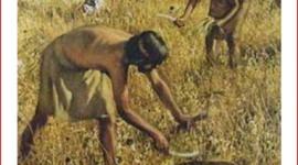 Timeline: Paralelismo entre la Medicina y la Fitopatología