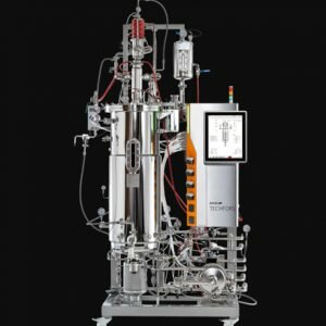 Primer fermentador piloto