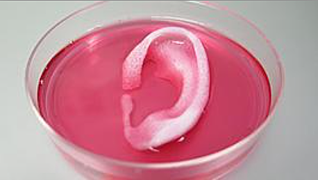 Formación de tejidos a partir de un biorreactor