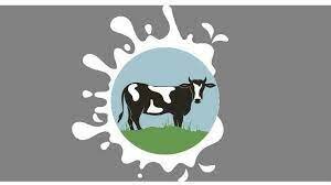 2013 (dignidad lechera)