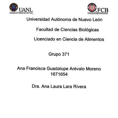 Timeline: Desarrollo histórico de Biorreactores