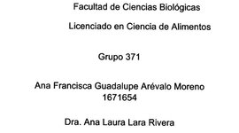 Timeline: Desarrollo histórico de Biorreactores