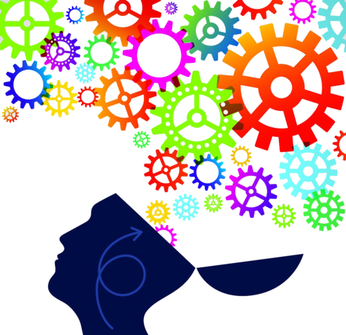 Creación del grado en Psicología