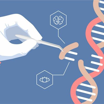 Timeline: Ingeniería Genética