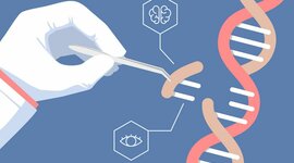 Timeline: Ingeniería Genética