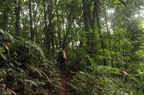 Declaración de principios