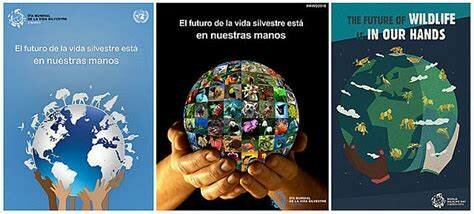 PROGRAMA "EL FUTURO EN NUESTRAS MANOS"