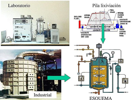 Biolixivación por tanque agitado