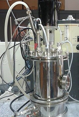 Biorreactor para la vacuna de la rabia.