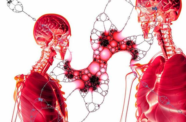 Biorreactor para el cultivo de células madre humanas