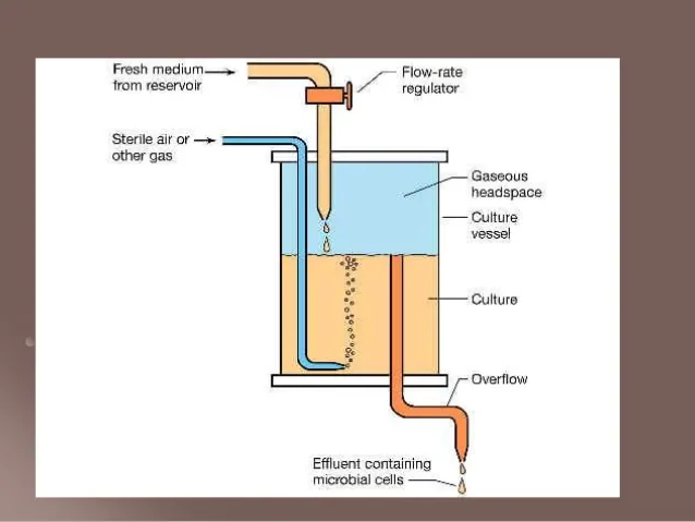 Biorreactor en proceso continuo