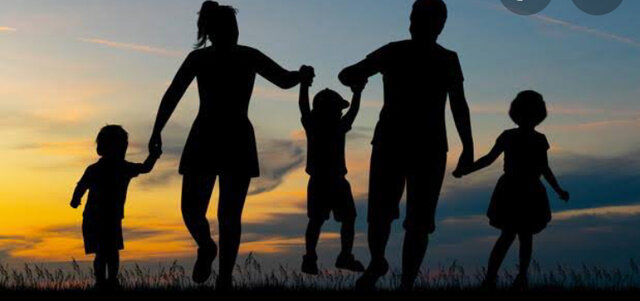 CAMBIOS EN LAS FAMILIAS en (México)