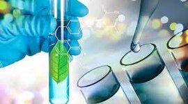 Timeline: Historia de biorreactores