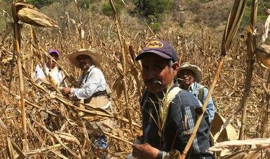Actividad Institucional