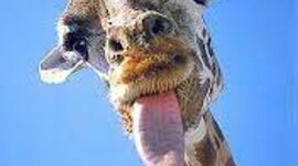 Timeline: story of my life